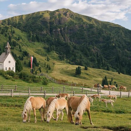 Zallinger Dolomites Alpe Di Siusi Exterior foto